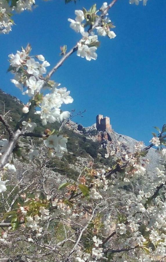 Albanchez de Úbeda Casa La Olivaヴィラ エクステリア 写真