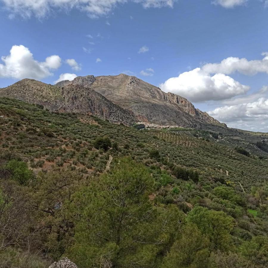 Albanchez de Úbeda Casa La Olivaヴィラ エクステリア 写真